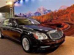 国际排联祝,郎平,岁生日,WM完美真人视讯,WM完美真人平台,WM完美真人官网,WM完美真人官网app