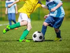 东京奥运中,国区票务合,作伙伴,WM完美真人视讯,WM完美真人平台,WM完美真人官网,WM完美真人官网app