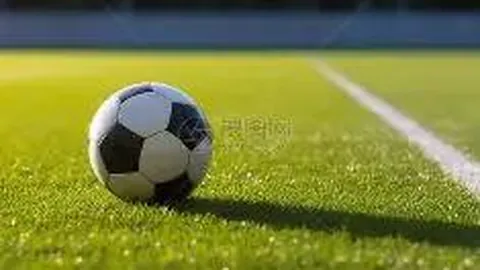 广厦队受罚百万背后原因揭秘 海报问题引发关注