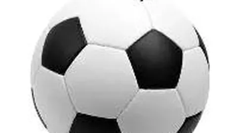 定南迎来中英足球文化交流团访问