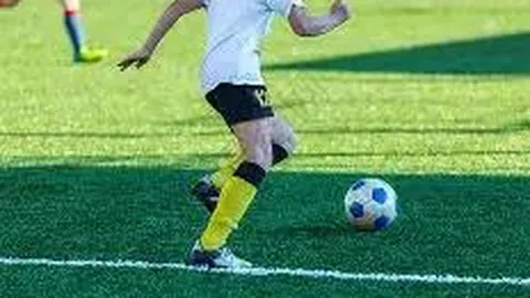 WM完美真人平台 资讯 132117 lm7