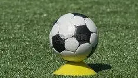 WM完美真人平台 产品 131845 wqm