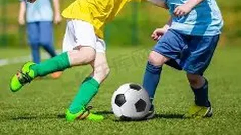 WM完美真人平台 资讯 133519 djn